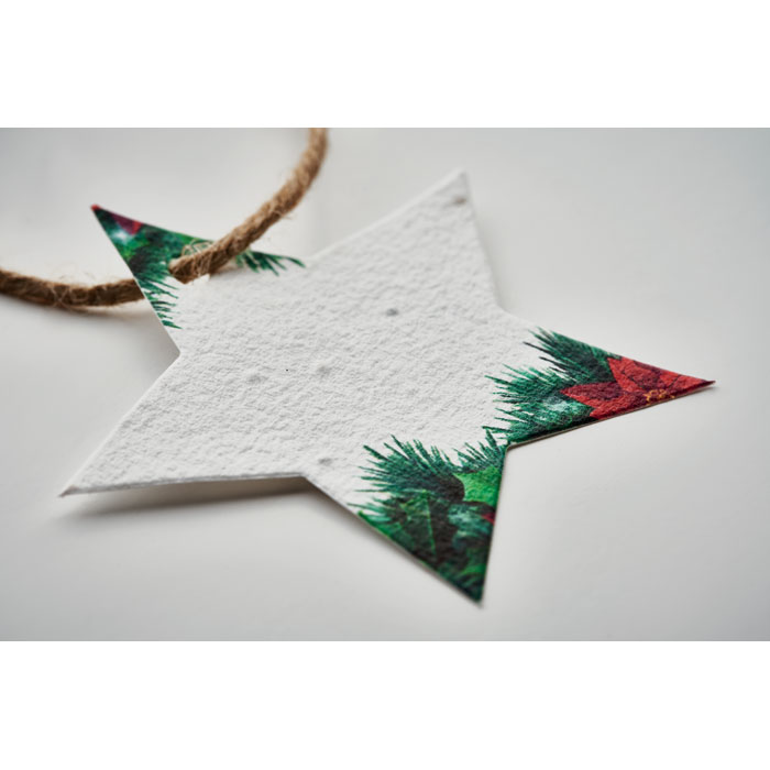 Seed paper Xmas ornament - Image 4
