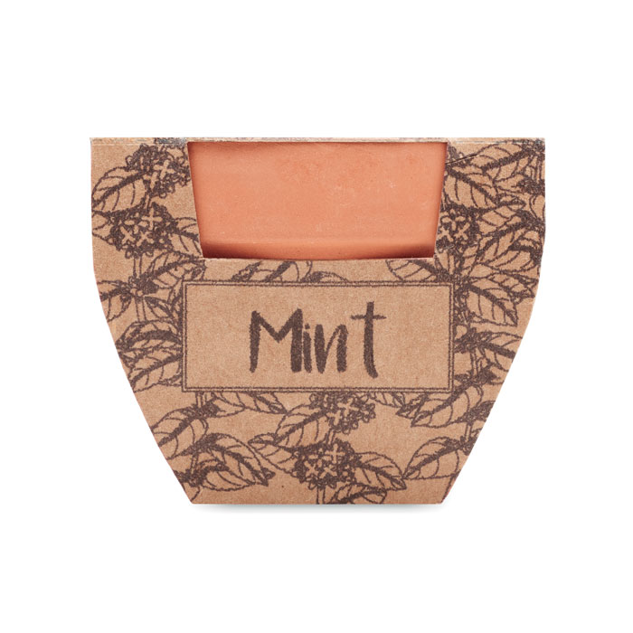 Terracotta pot mint seeds - Image 2