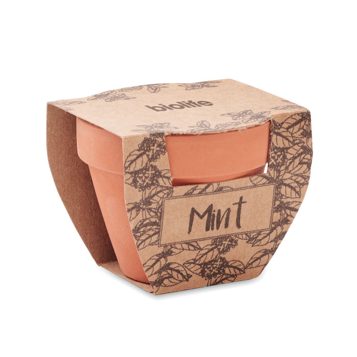 Terracotta pot mint seeds - Image 4
