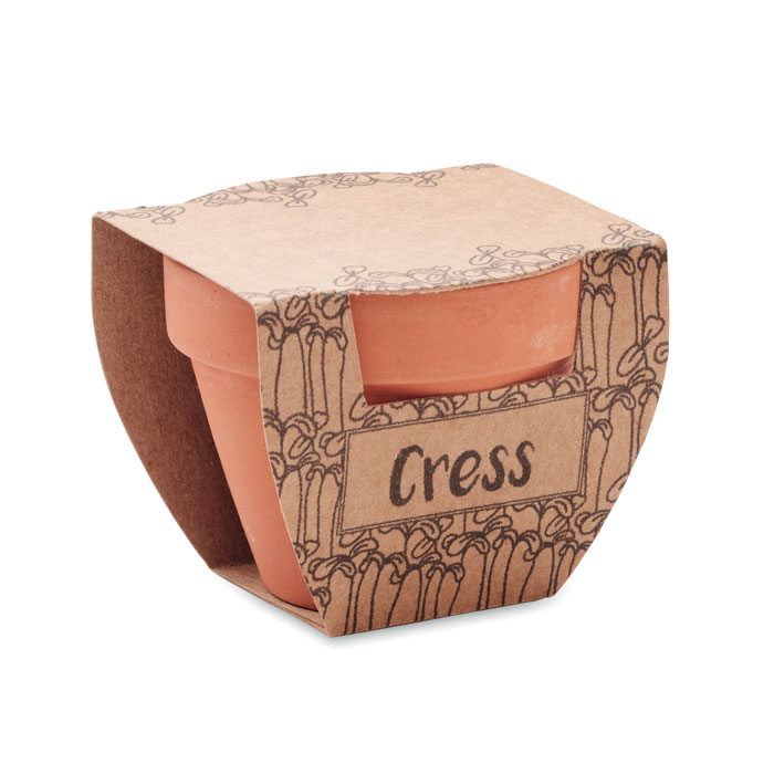 Terracotta pot cress seeds - Image 3