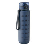 French Navy