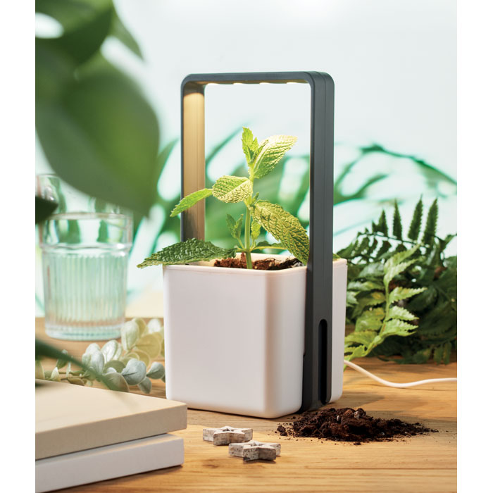 Indoor garden with LED light - Image 4
