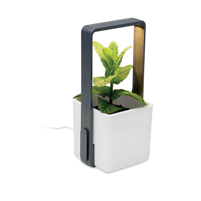Indoor garden with LED light - Image 9