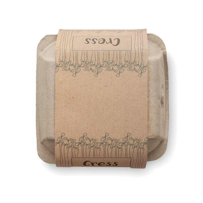 Egg carton growing kit - Image 2