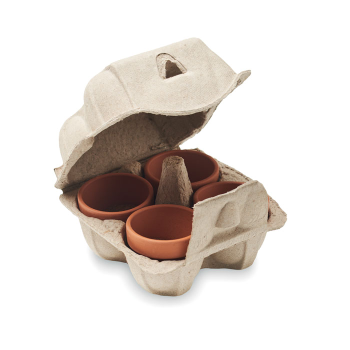 Egg carton growing kit - Image 3